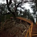 Free в св. иван рилски - сладък дом сред лукс Lejlighedshotel Bansko