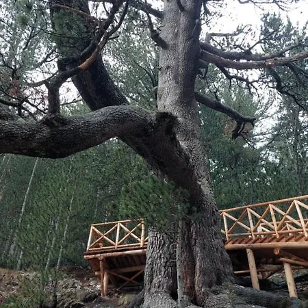 Free в св. иван рилски - сладък дом сред лукс 4* Bansko